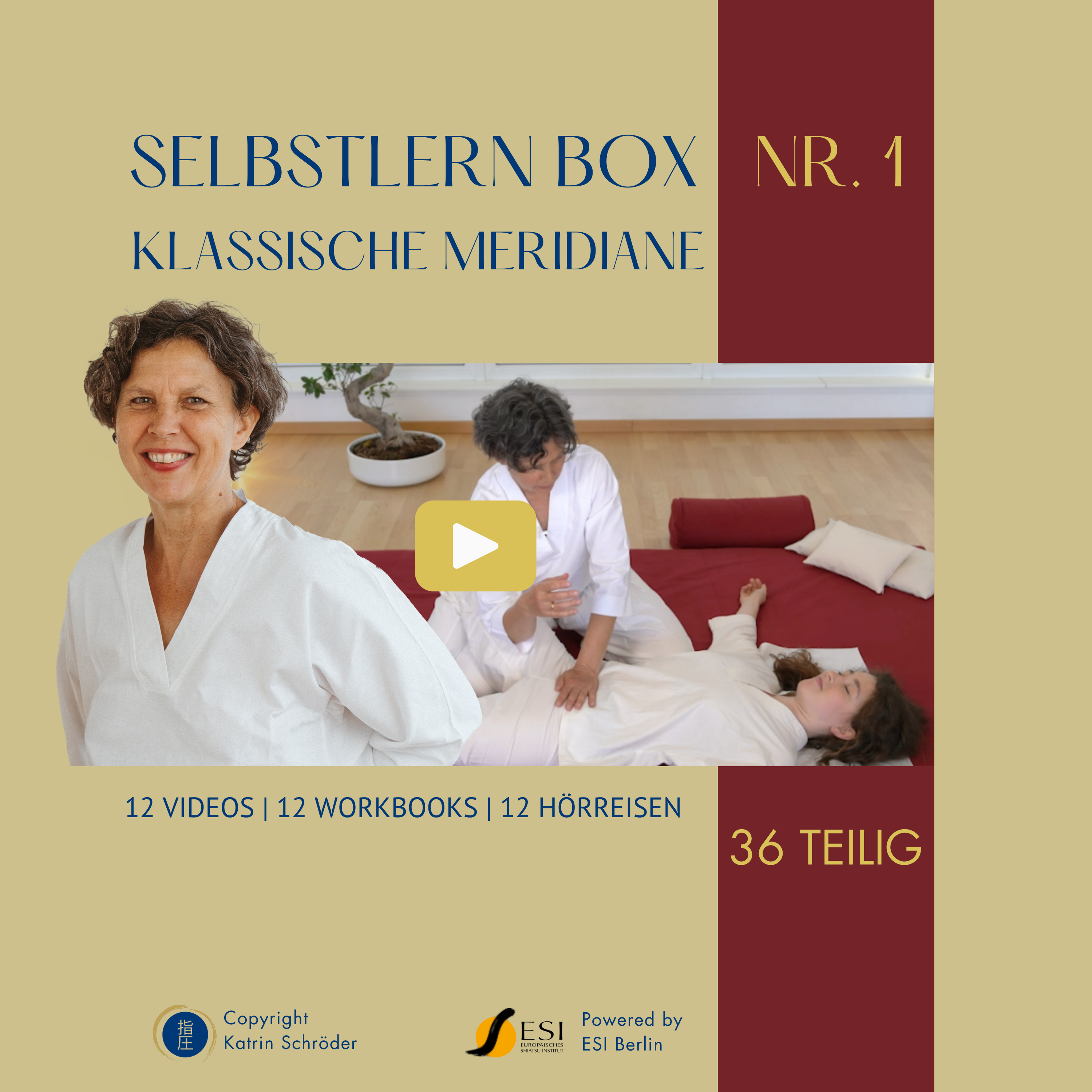 Selbstlern-Box Nr. 1 - Klassische Meridiane