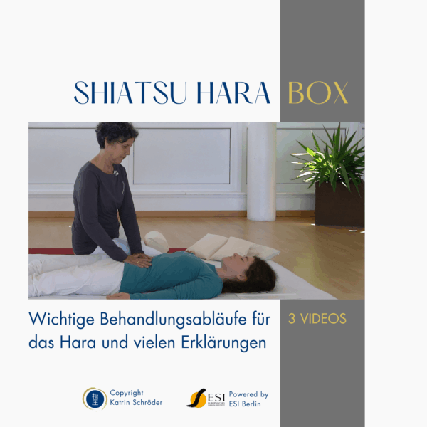 Leben berühren am Hara | 3 Videos: 15 Min. | alle Level | Stream