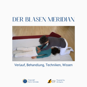 Shiatsu Lernbox Blasen Meridian