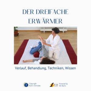Shiatsu Lernbox Dreifachen Erwärmer
