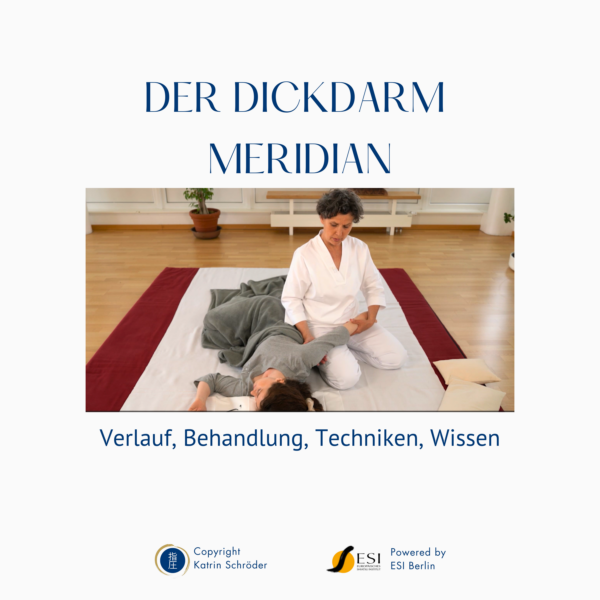 Shiatsu Lernbox zum Dickdarm Meridian