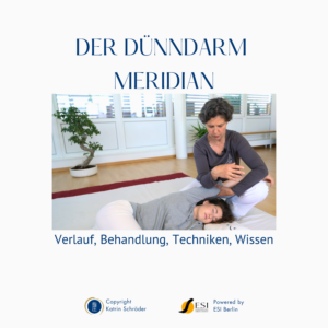 Shiatsu Lernbox Dünndarm Meridian