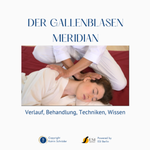 Shiatsu Lernbox Gallenblasen Meridian