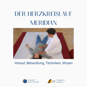 Shiatsu Lernbox Herz Kreislauf Meridian