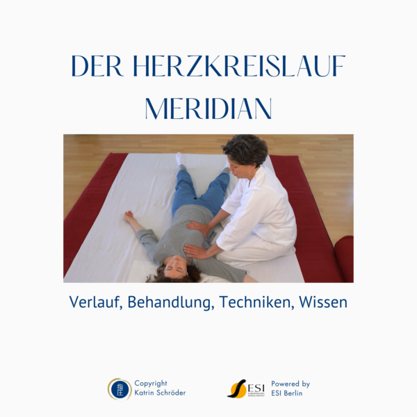 Shiatsu Lernbox Herz Kreislauf Meridian