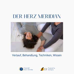Shiatsu Lernbox Herz Meridian