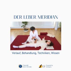 Shiatsu Lernbox Leber Meridian