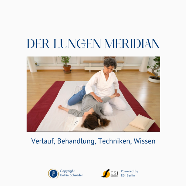 Shiatsu Lernbox zum Lungen Meridian