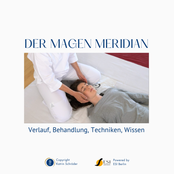 Shiatsu Lernbox zum Magen Meridian