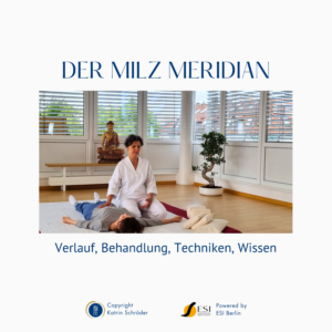 Shiatsu Lernbox zum Milz Meridian