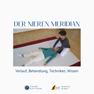 Shiatsu Lernbox Nieren Meridian