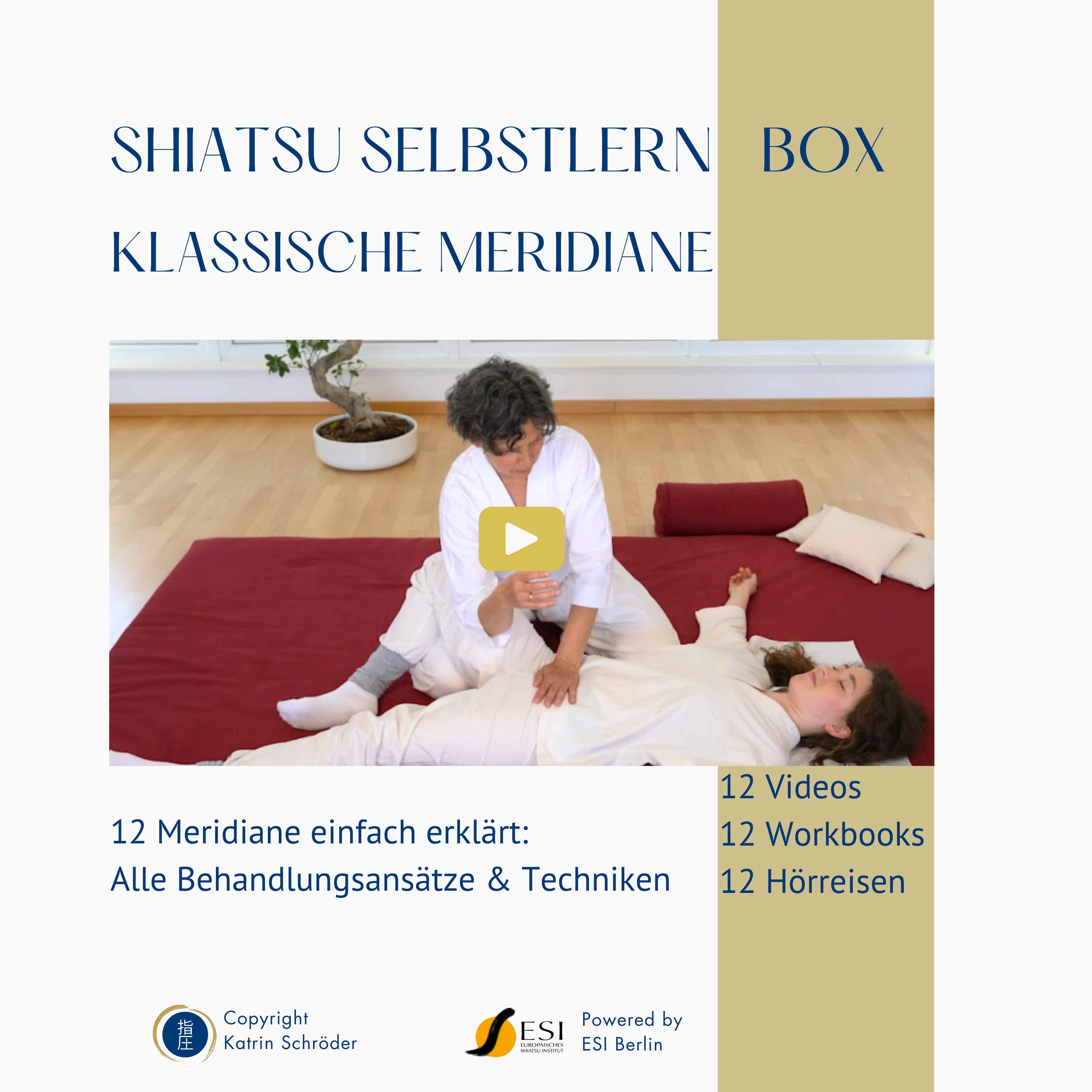 Selbstlern-Box Nr. 1 - Klassische Meridiane