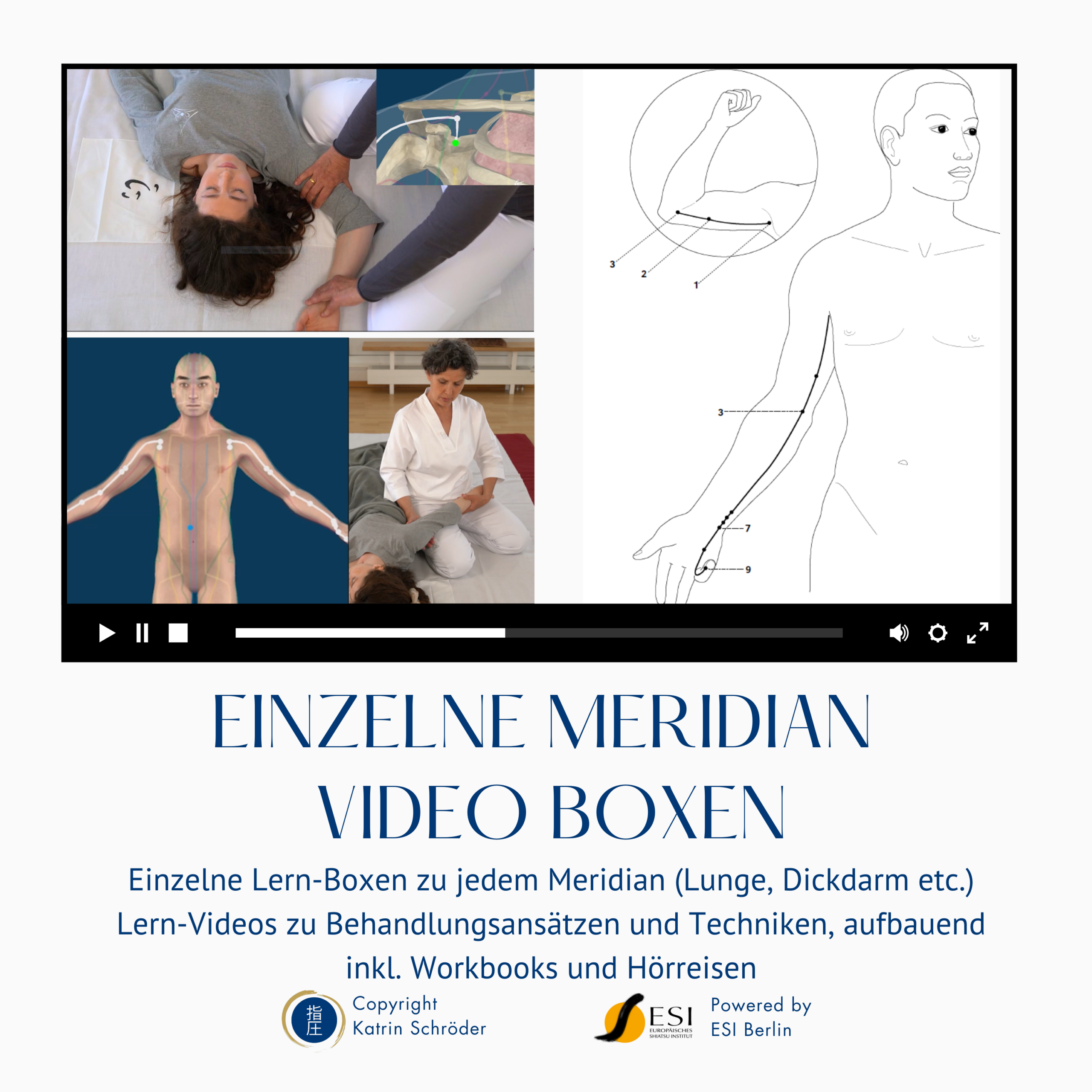 Selbstlern-Box Nr. 1 - Klassische Meridiane