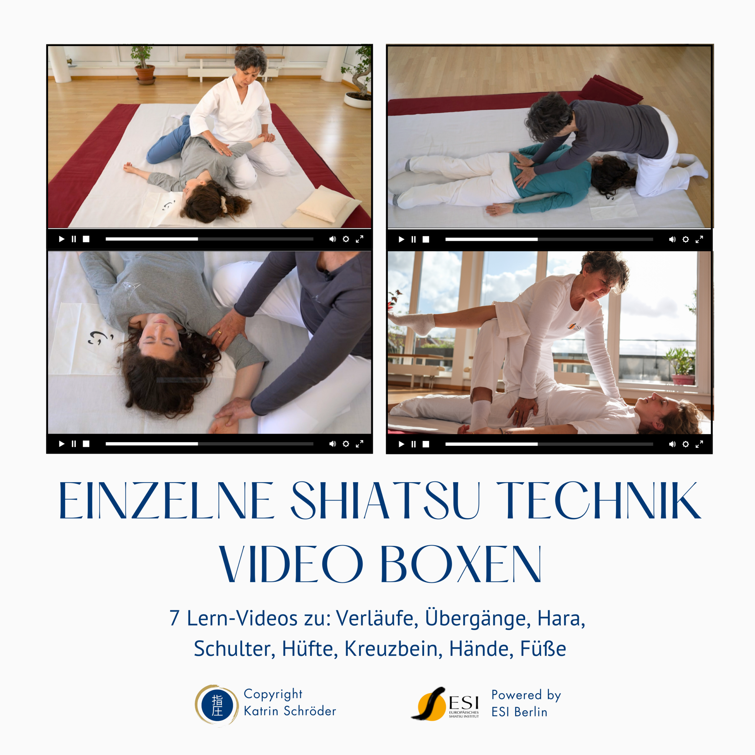 Selbstlern-Box Nr. 1 - Klassische Meridiane